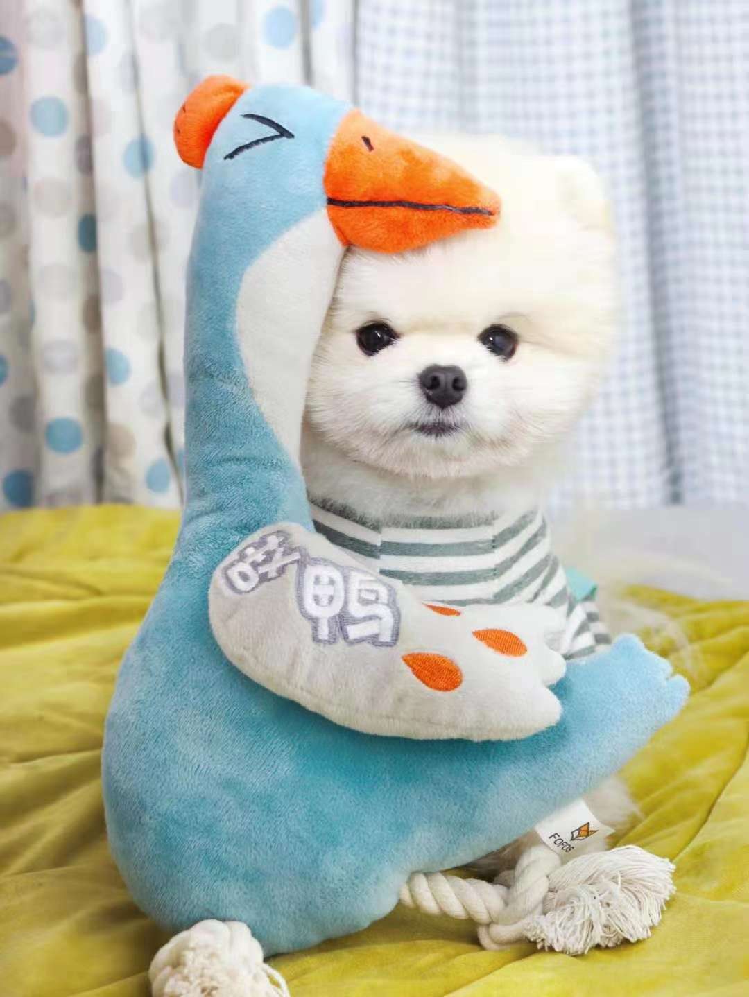 宠物宝宝一起玩鸭

创意鸭鸭，狗狗的好玩伴！
内置发声器，一捏就响，发声解闷！