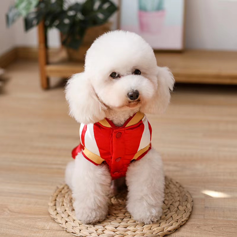 新年拜年服赶紧准备准备了详情图8