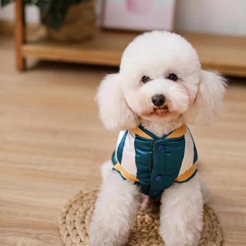 新年拜年服赶紧准备准备了详情图10