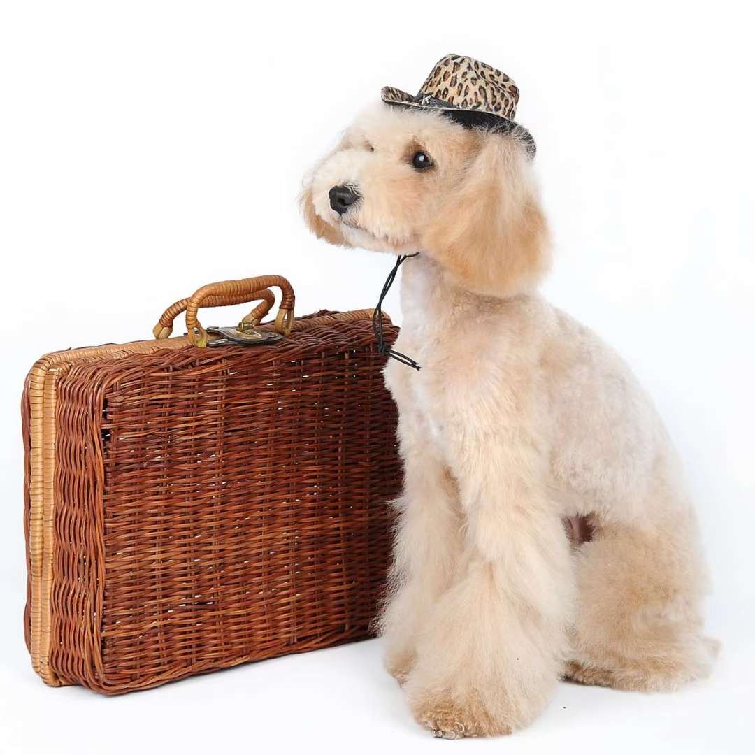 宠物宝宝礼帽，高定型耐压不变形！
甩不掉！甩不掉！详情图6