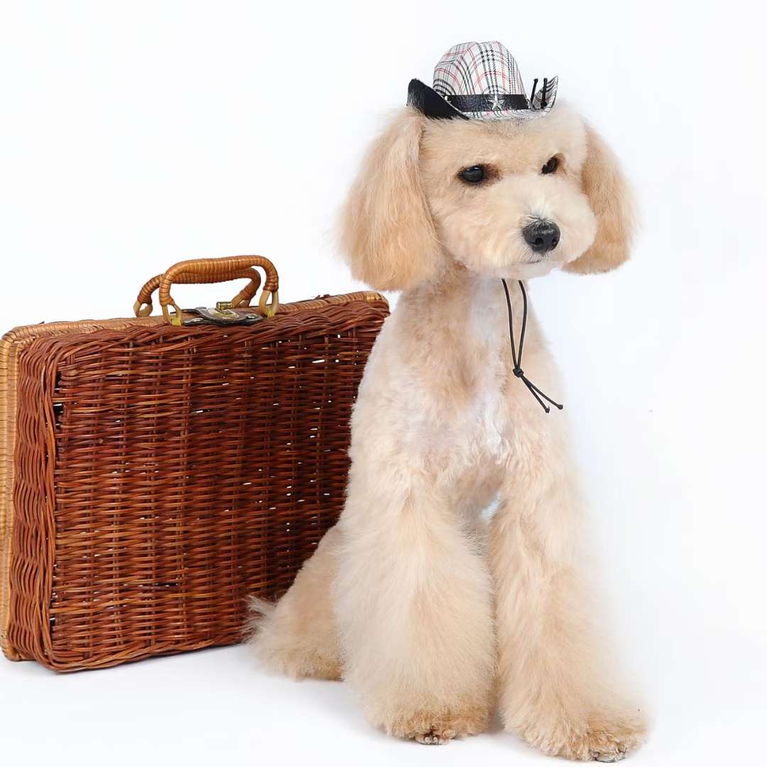 宠物宝宝礼帽，高定型耐压不变形！
甩不掉！甩不掉！详情4