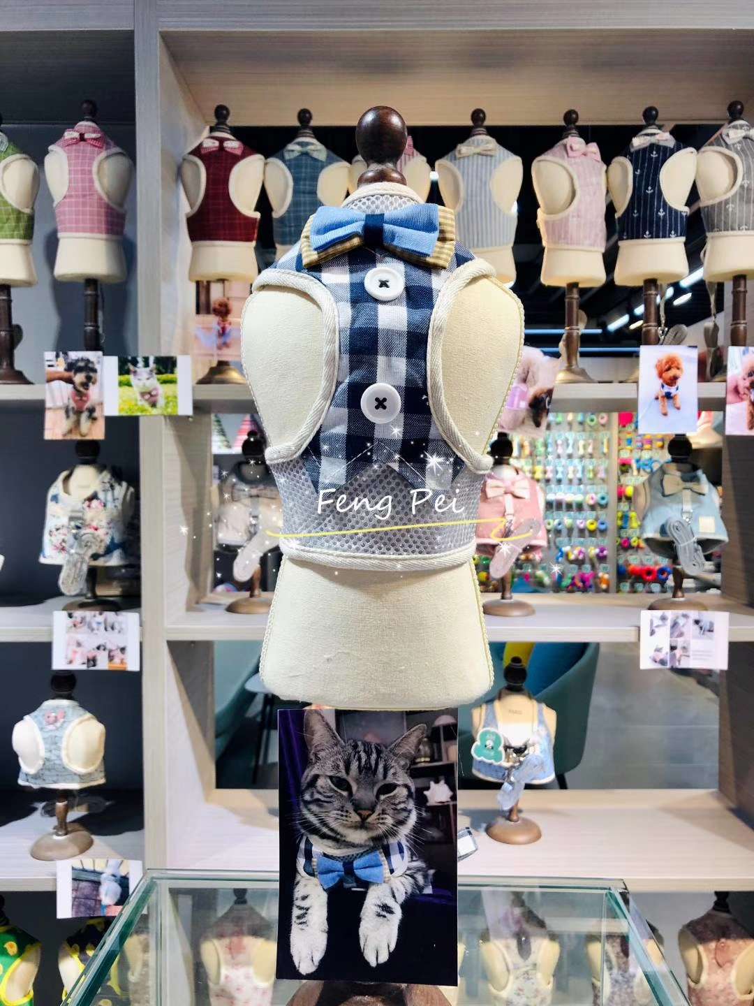 看爆款--宠物宝宝方型胸背带。详情图10