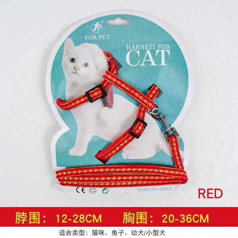 猫猫牵引实物图