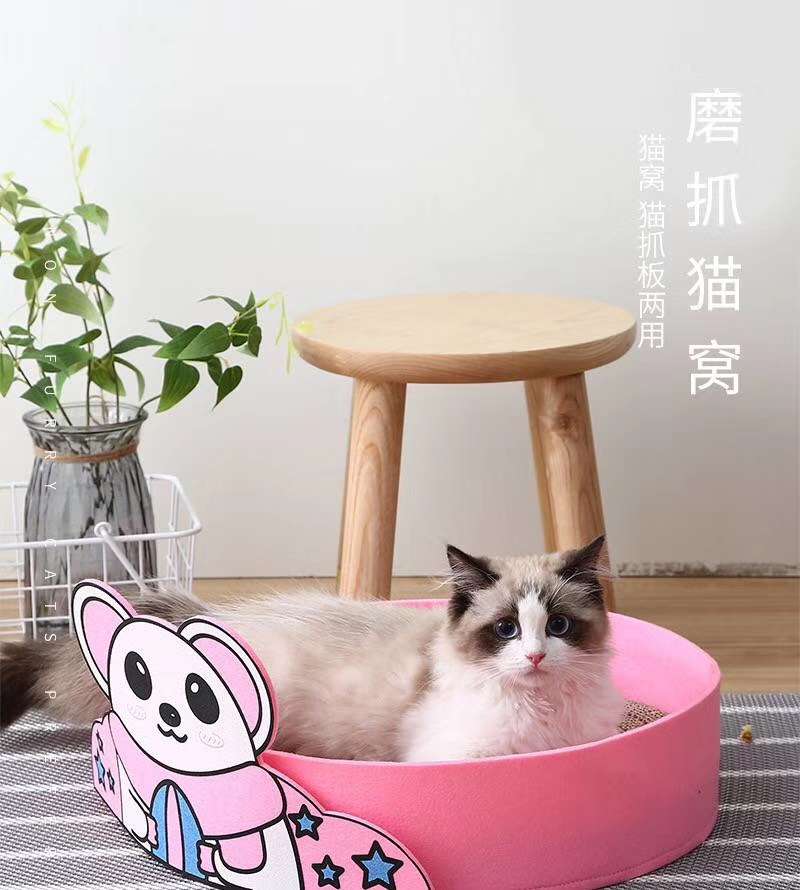 今日份少女心，来自猫猫的窝。妙妙的心都要化了～详情1