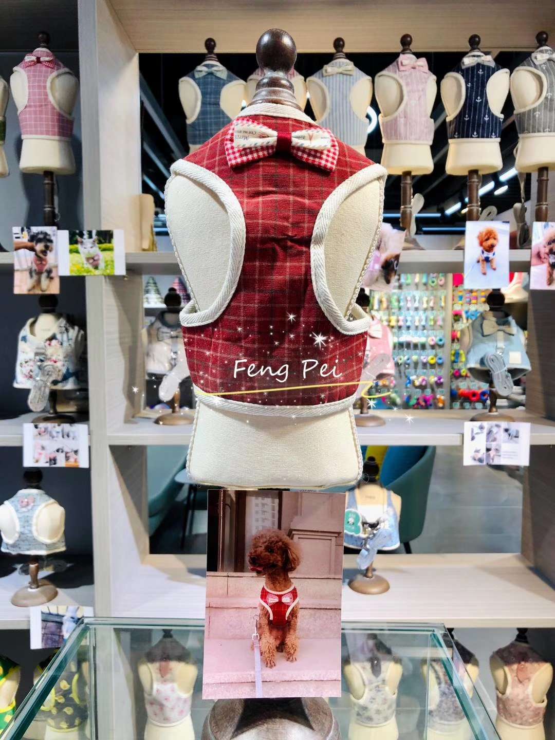 看爆款--宠物宝宝方型胸背带。详情图4