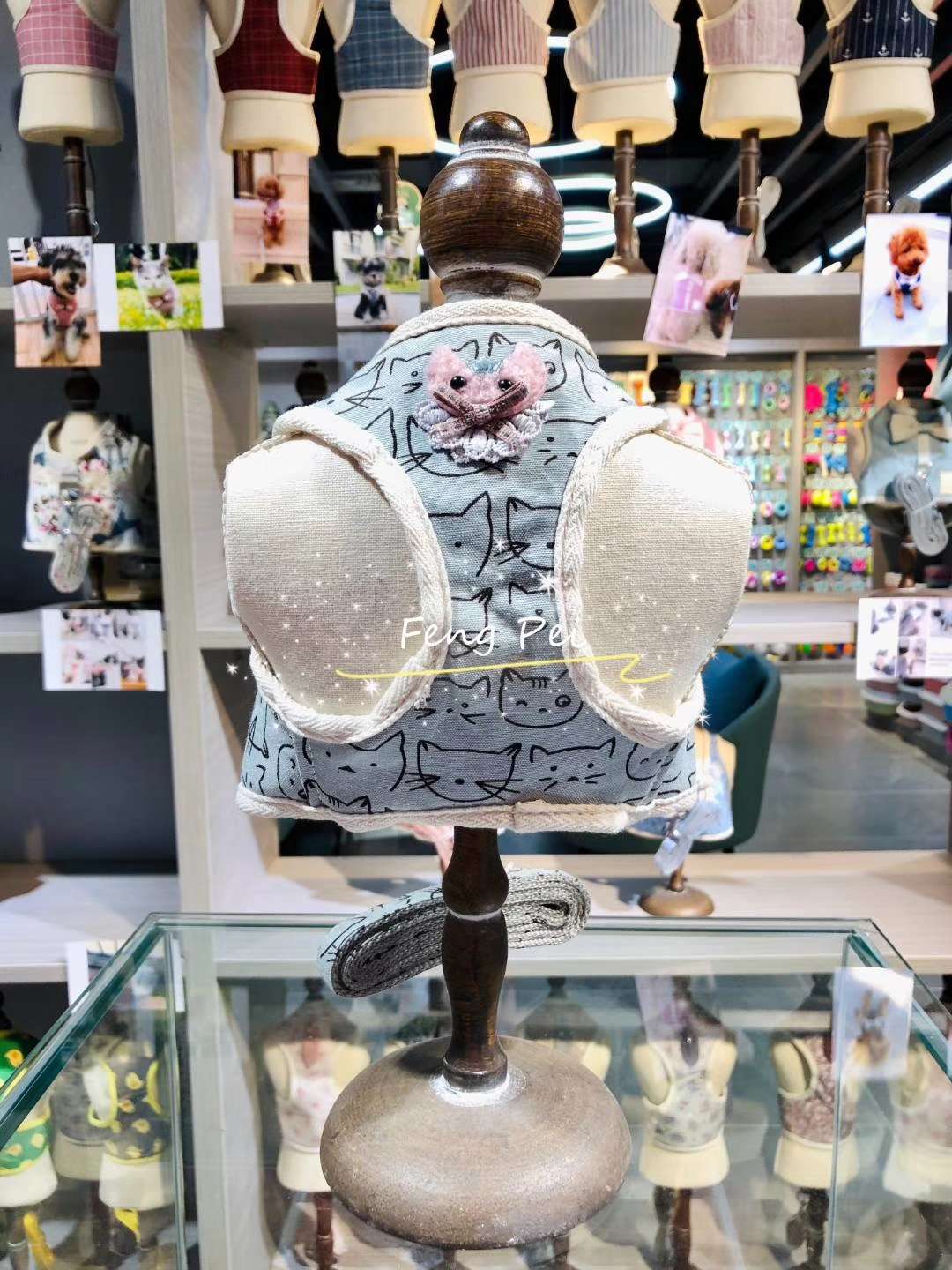 宠物项圈实物图