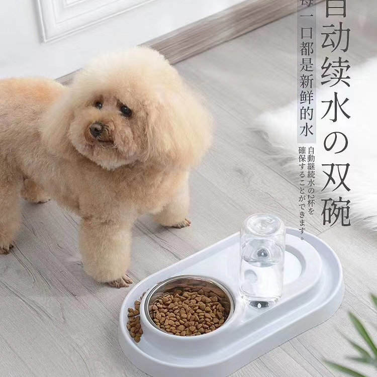 宠物宝宝环形自动续水碗🎉🎉🎉