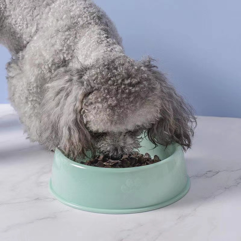 宠物塑料单碗🎉🎉🎉
小中大三个尺寸,猫狗通用🐱🐶详情9