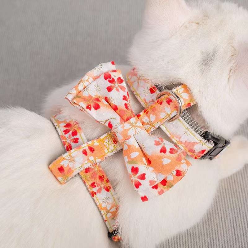 猫咪🐱蝴蝶结牵引🎉🎉🎉详情图1