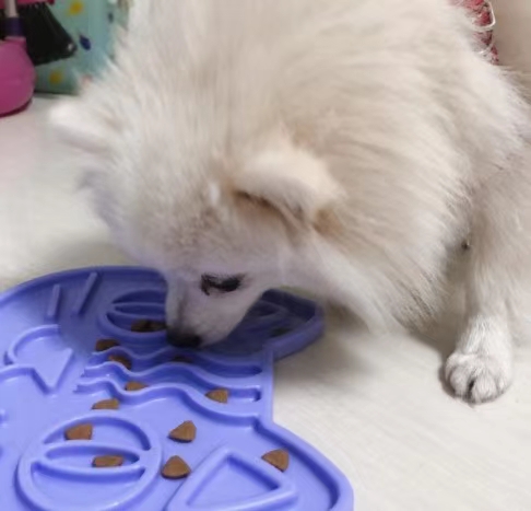 #FOFOS 舌头爽爽舔食垫

高颜值，多功能，猫狗通用！
舔一舔，清洁口腔，帮助消化！详情6