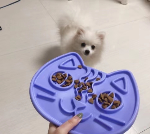 狗狗湿粮实物图