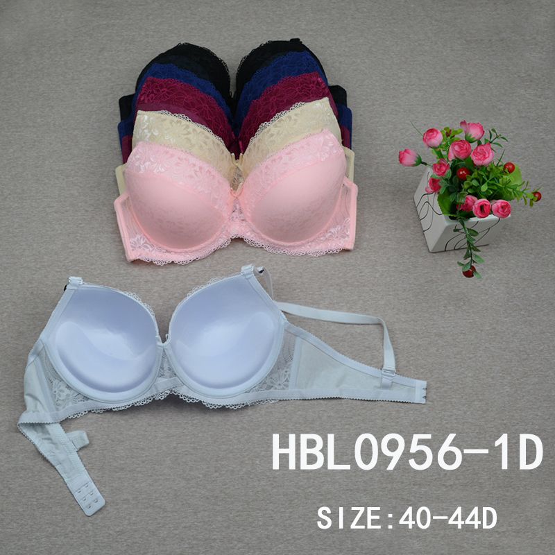 HBL0956-1