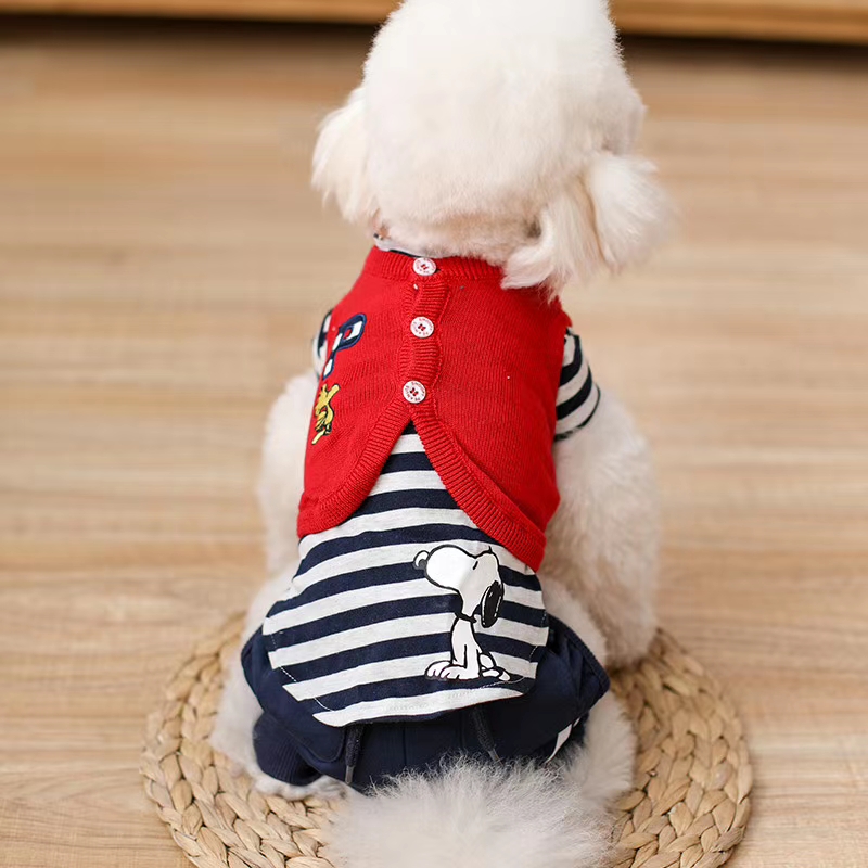 Pet supplies, clothes, and a western two-piece with leggings is really great