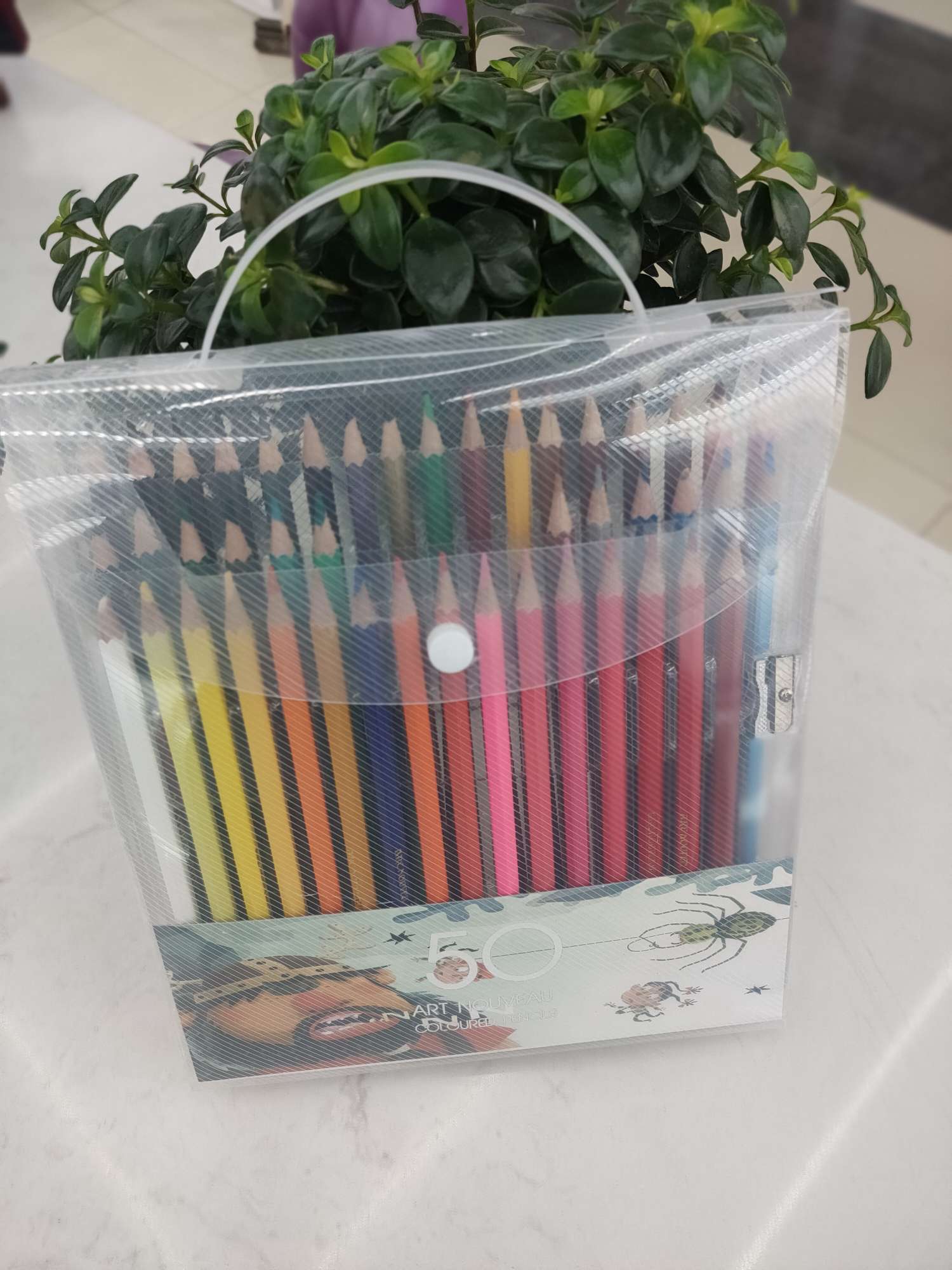 50 colores pvc de alta A lápiz de color venta directa de fábrica estudiantes barril lápiz niños premios aprendizaje papelería suministros de pintura Specification image