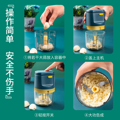 Electric Garlic mashing machine 1 Item Picture