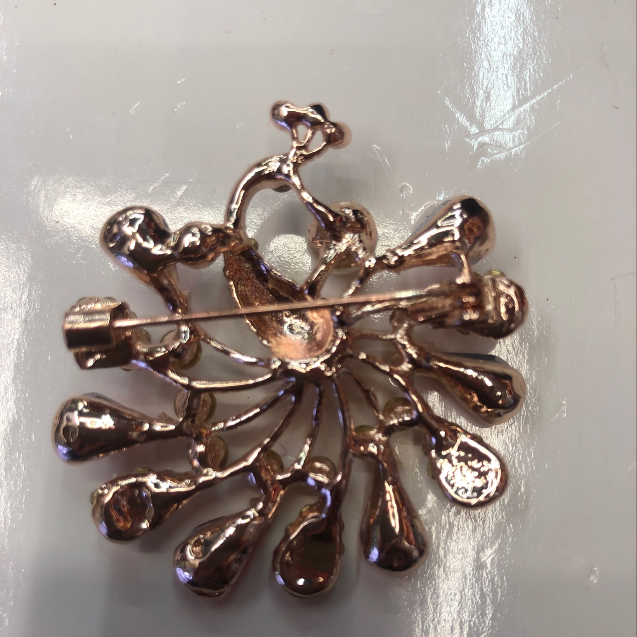 孔雀🦚开屏细节图