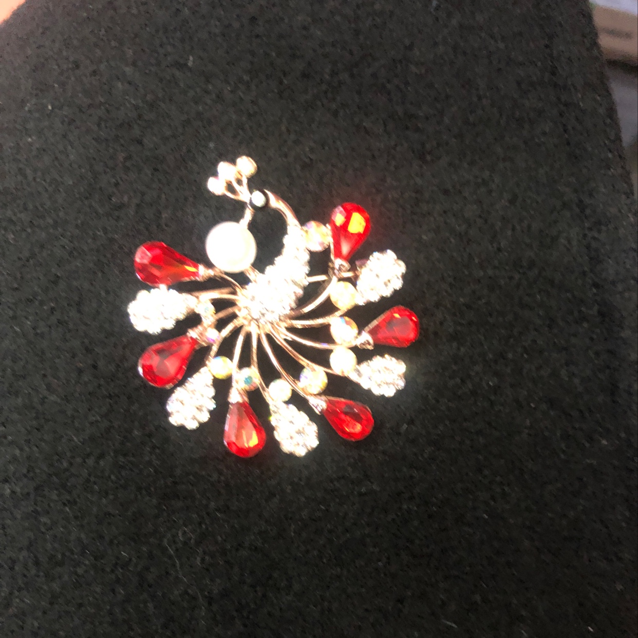 孔雀🦚开屏详情图5