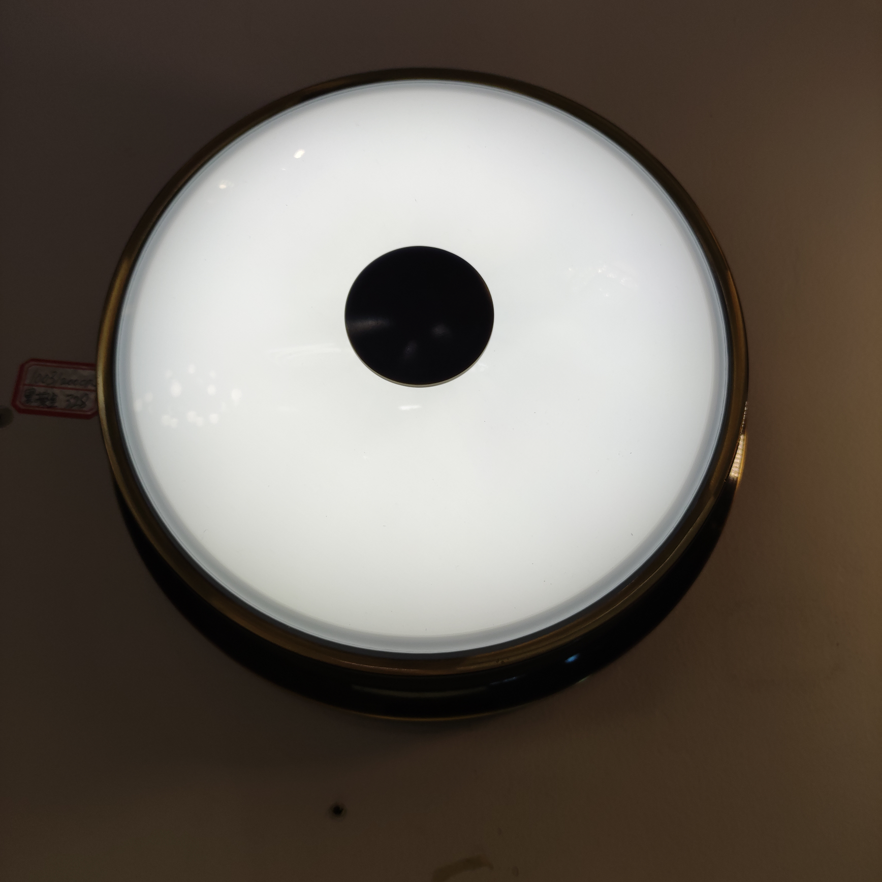 1003/200Cm黑擦金铜+玻璃罩