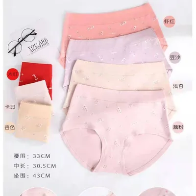 Girls Briefs 6617 Comfortable Breathable Soft Delicate Smooth Girls Mid-Height Underwear