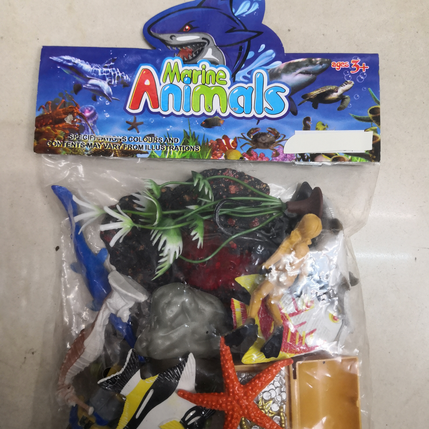 彩色卡头海洋小动物