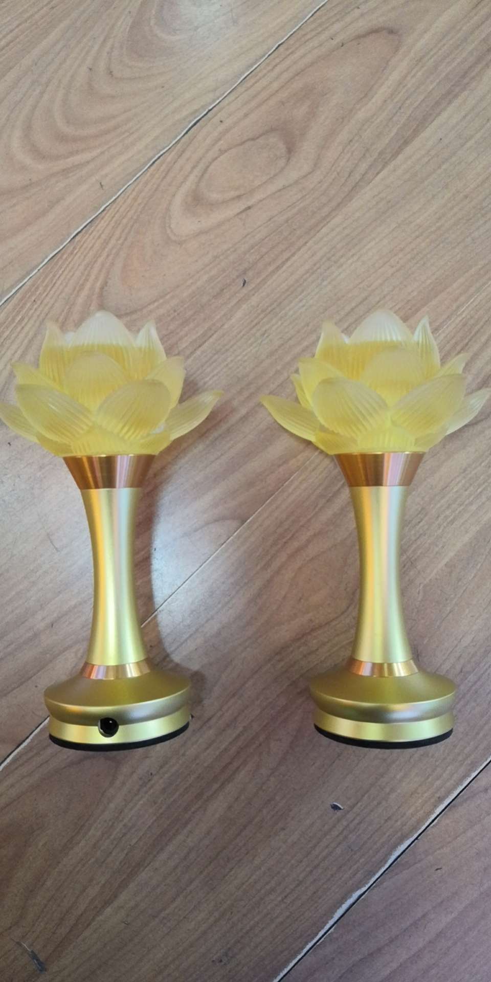 12-inch Compassion lamp details Picture