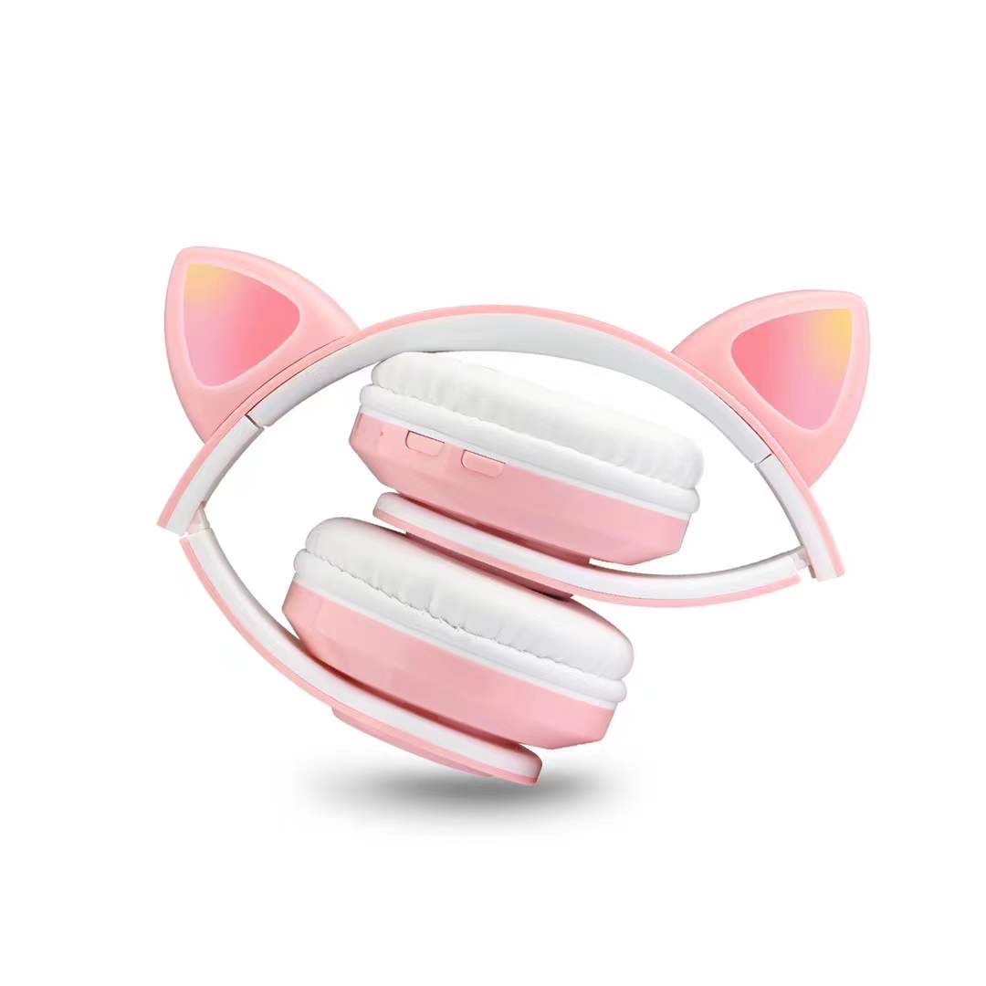 猫猫包、箱实物图