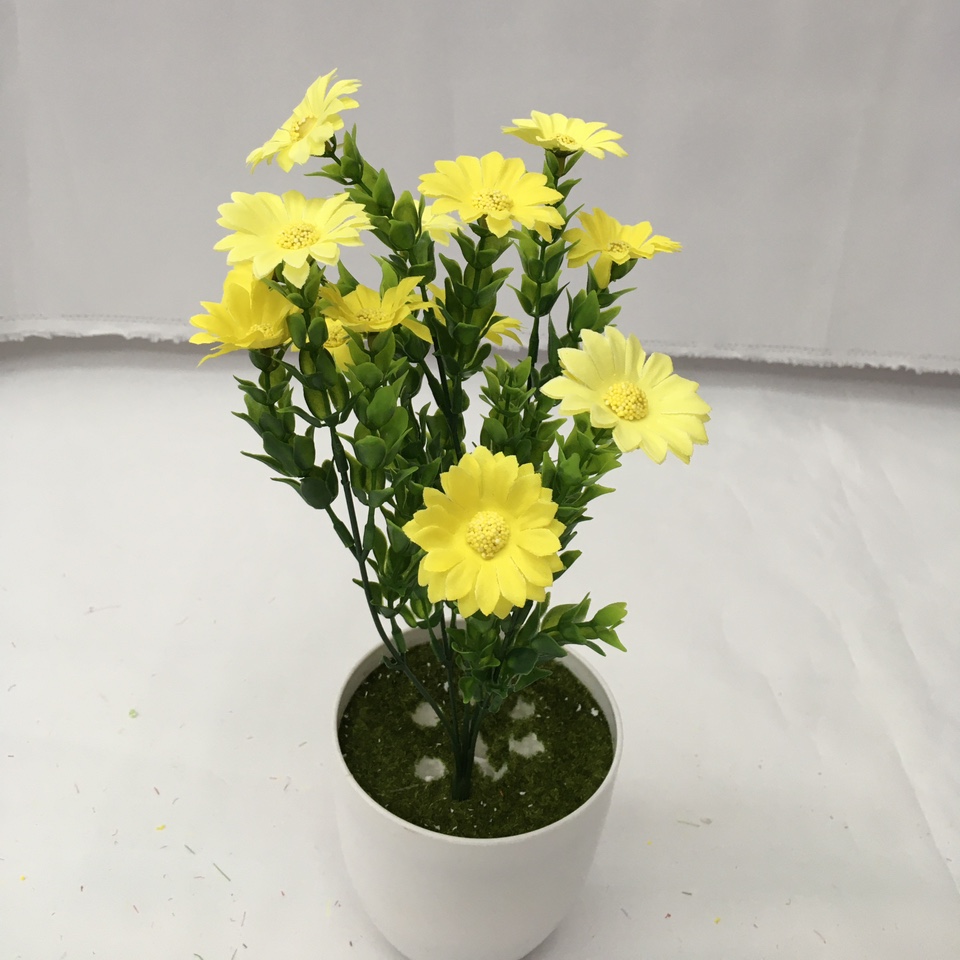 6 heads 18 water weed chrysanthemums
