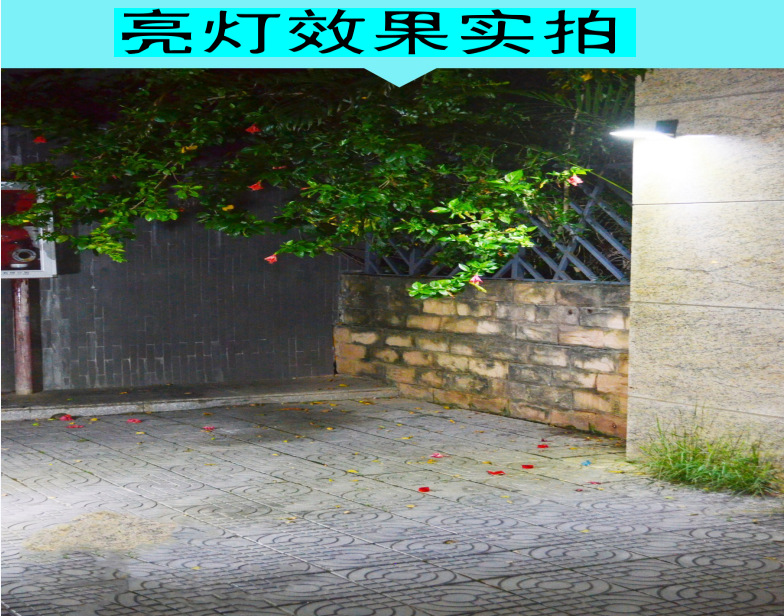 厂家直销 48LED 太阳能壁灯 可调48LED太阳能路灯侧发光详情图5