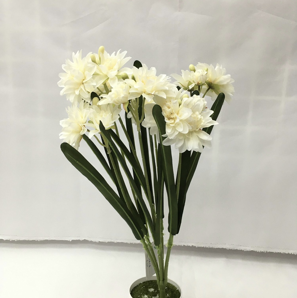 7 heads of chrysanthemum thumbnail