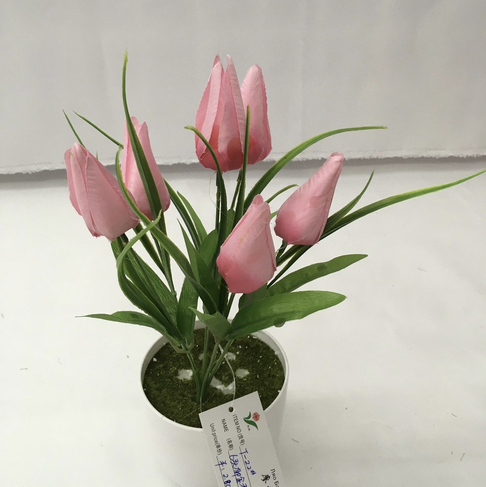 Six little tulips