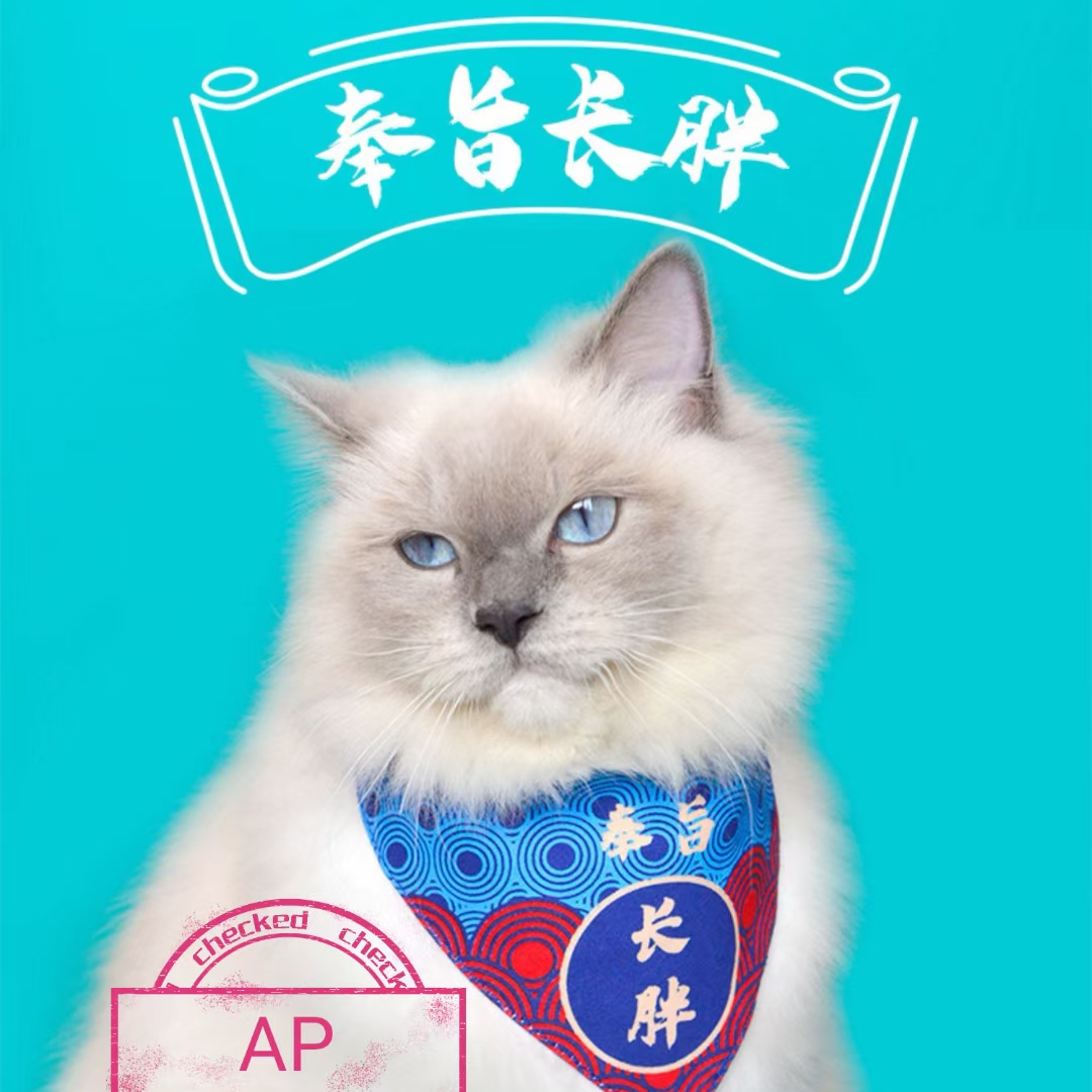 宠物宝宝口水巾，耐咬，耐抓，耐脏一擦就干净。可水洗！