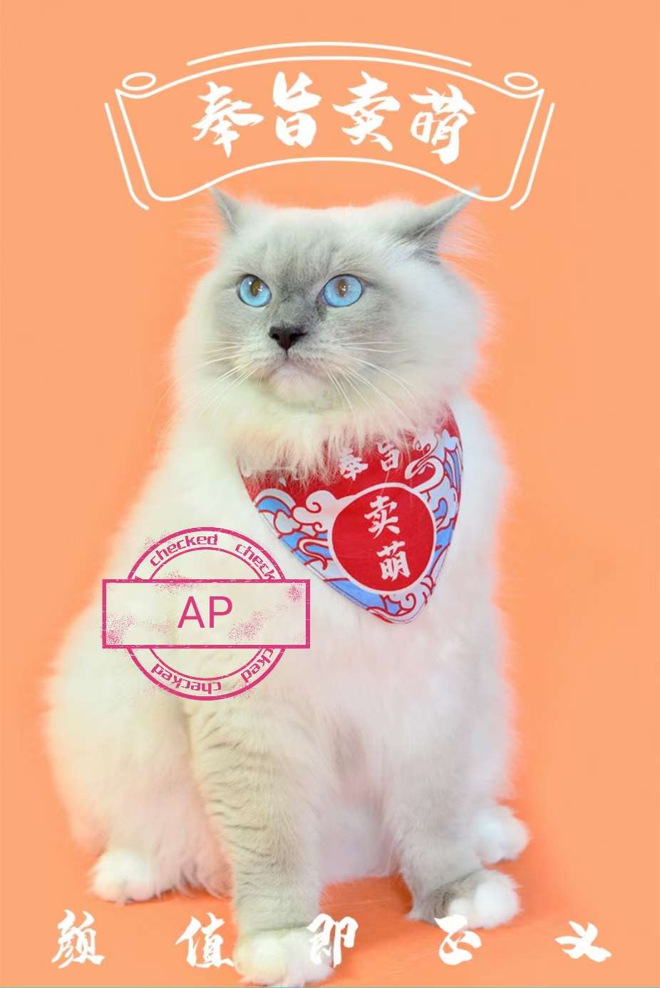 宠物宝宝口水巾，耐咬，耐抓，耐脏一擦就干净。可水洗！详情6