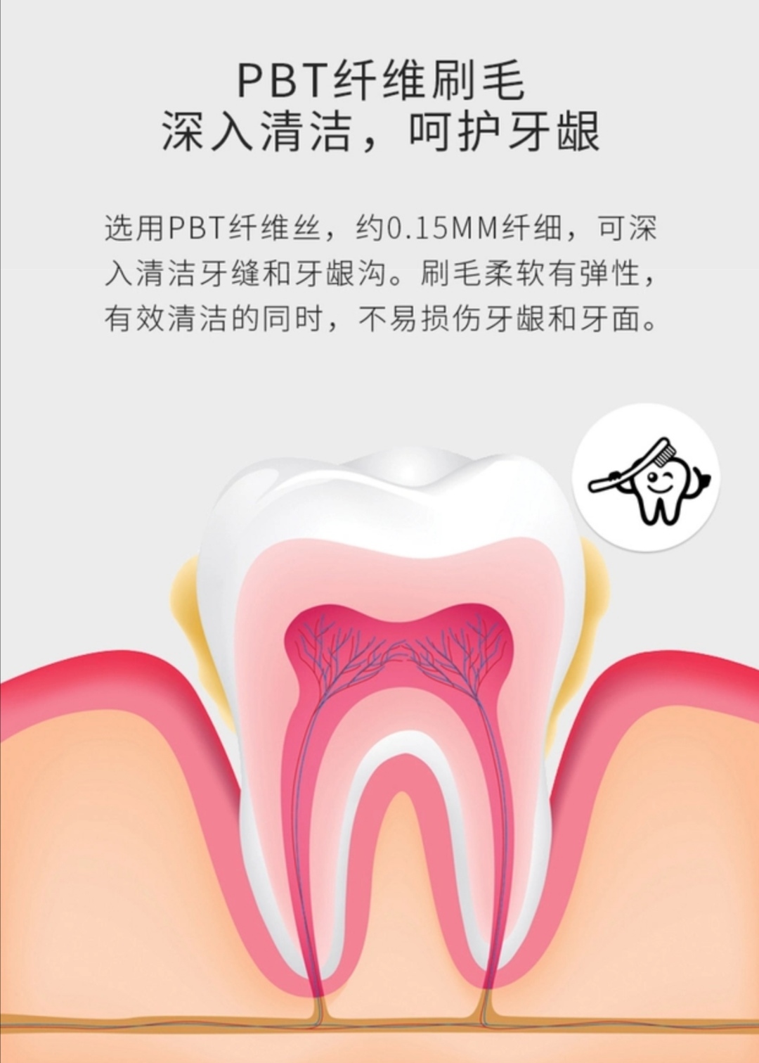 莫兰迪色系软毛牙刷成人家庭装学生家用旅行便携超细软纤维清洁口腔8支牙刷详情图13