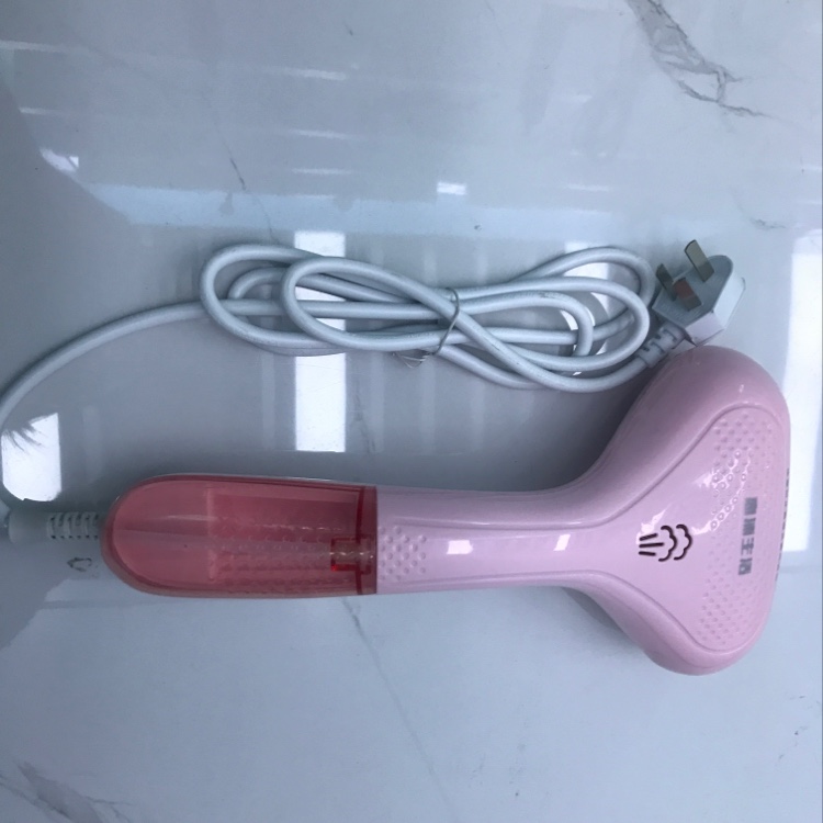 新款小型挂烫机