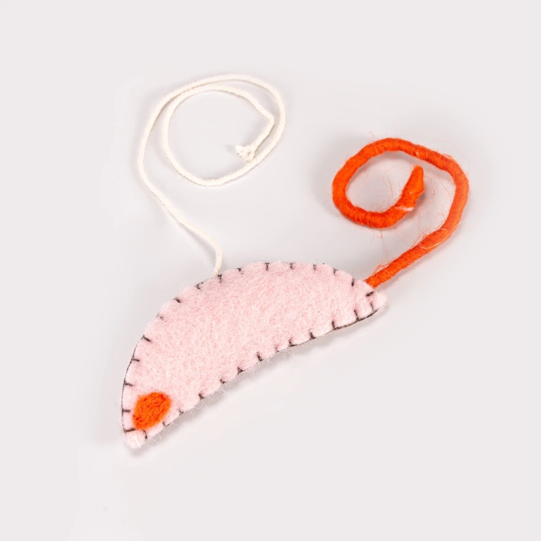 宠物宝宝新款猫玩具，内含猫薄荷，价格很美详情8