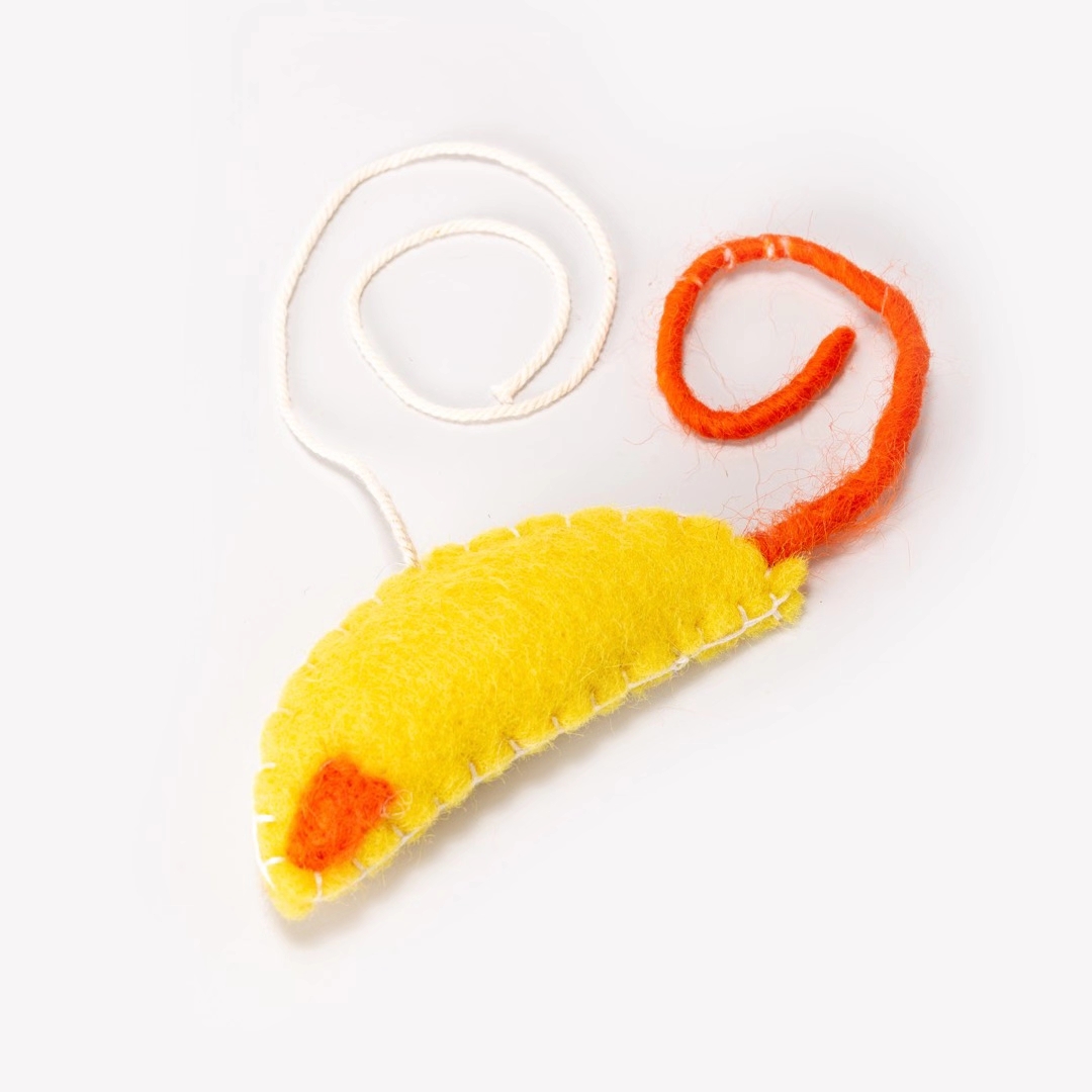 宠物宝宝新款猫玩具，内含猫薄荷，价格很美