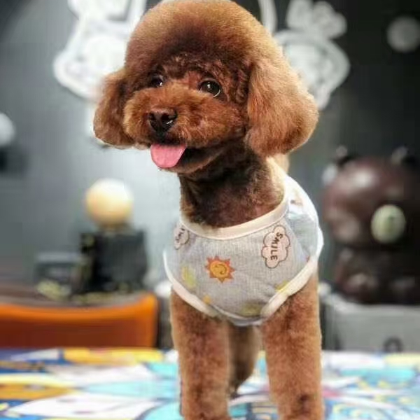 宠物用品爱宠美衣，天气马上热了哦！各种款式美美哒衣服来喽！你准备好了吗？