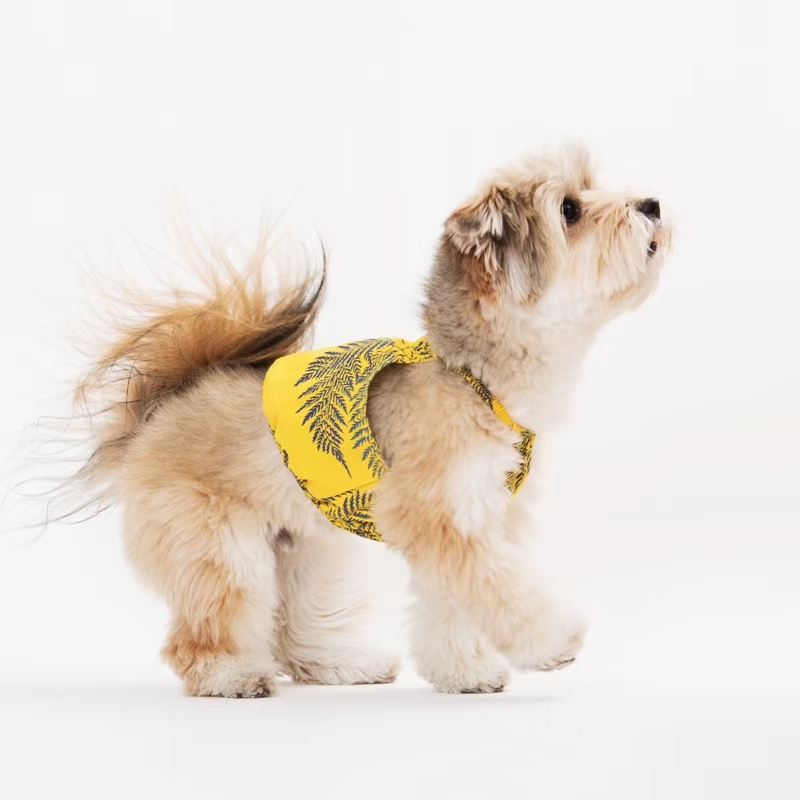 宠物用品背心/宠物新款背心/宠物狗狗背心白底实物图