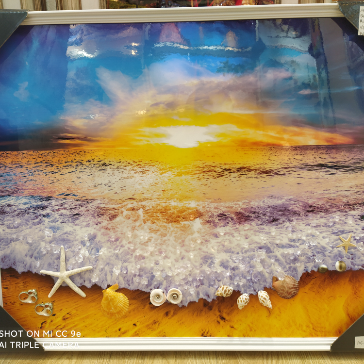 2430白直装贝壳晶瓷