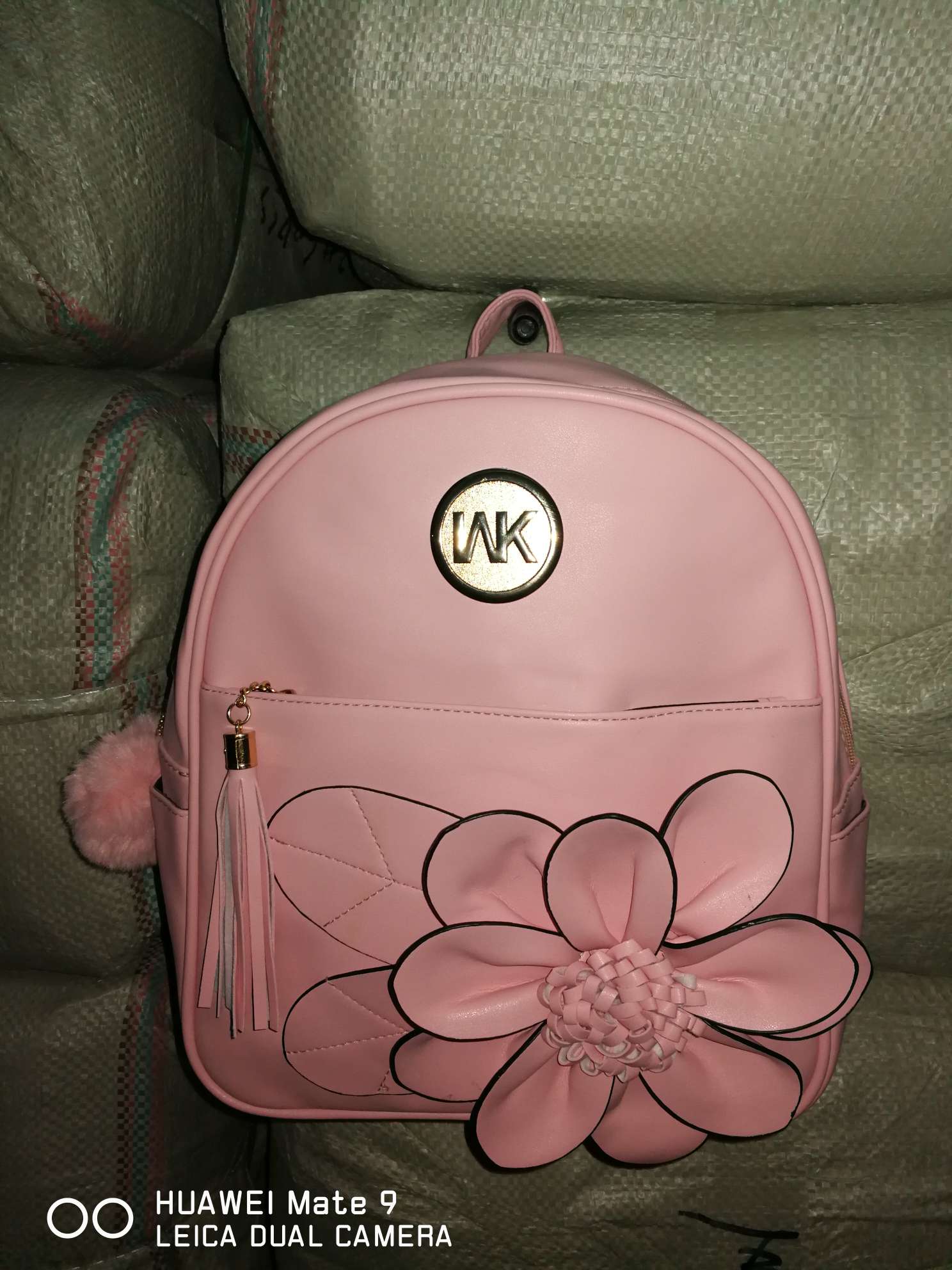 Stylish Backpack details Picture