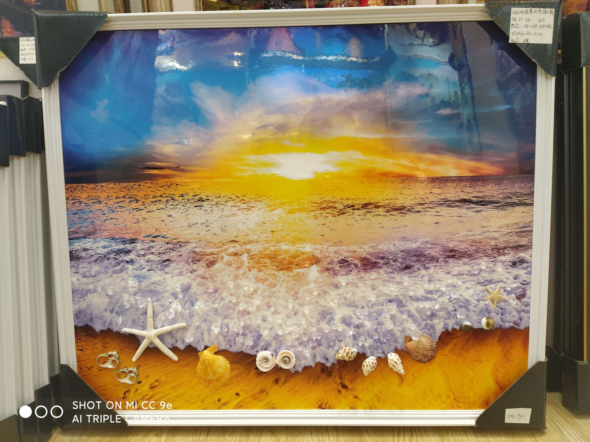 2430白直装贝壳晶瓷产品图