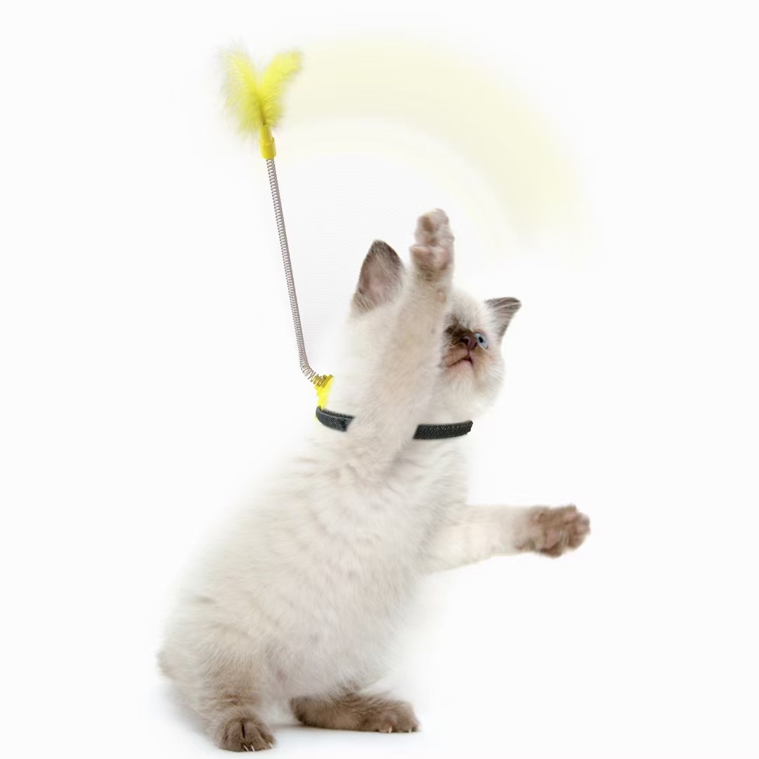 自嗨逗猫棒/宠物用品玩具/宠物逗猫棒产品图