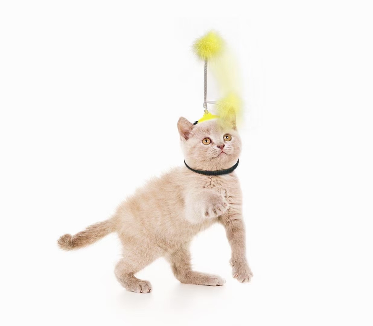 自嗨逗猫棒/宠物用品玩具/宠物逗猫棒细节图