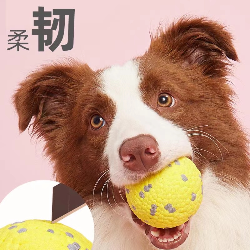 宠物用品，宠物创新玩具，创新玩法！