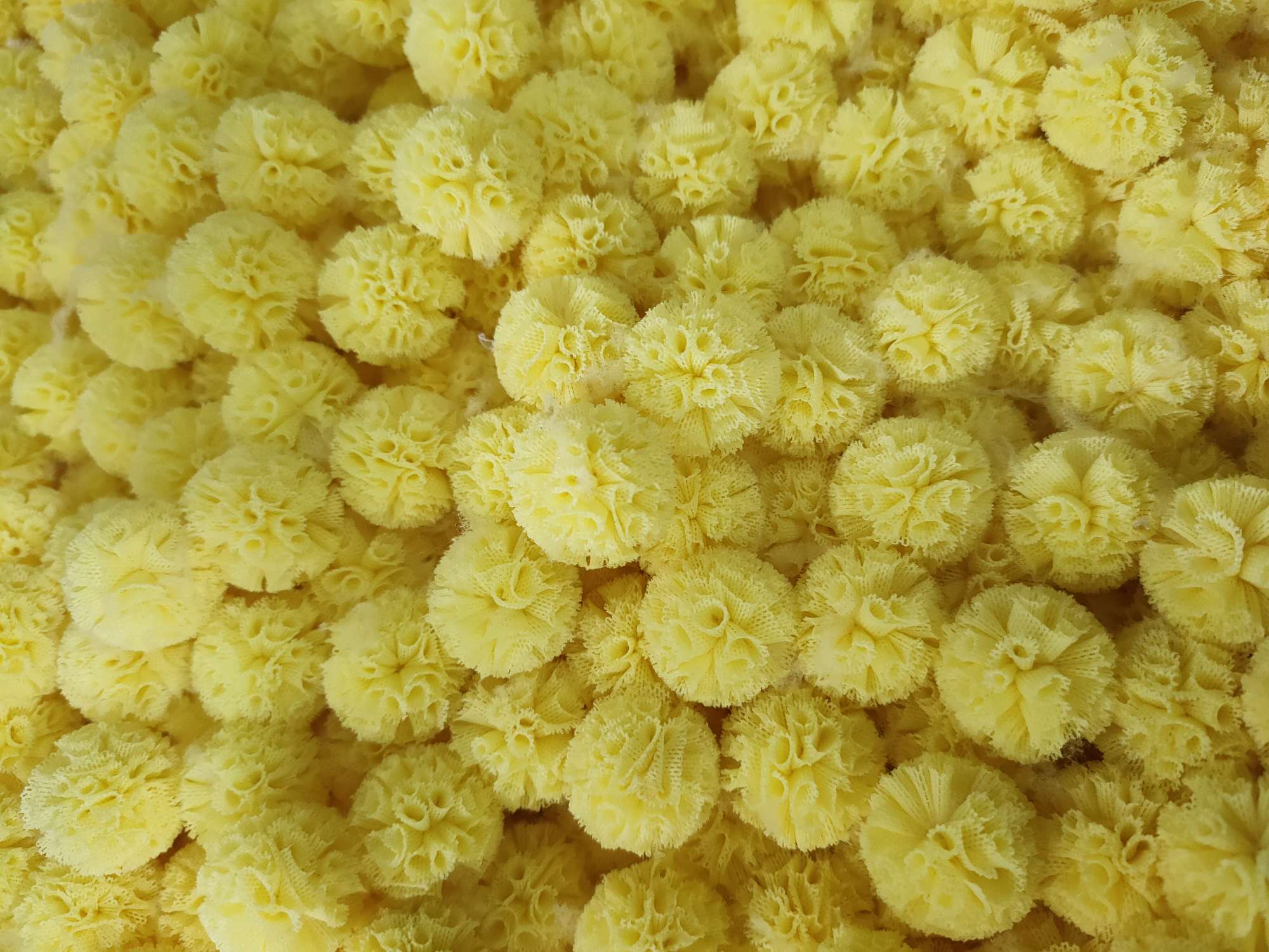 2.5cm：弹力网球现货详情5