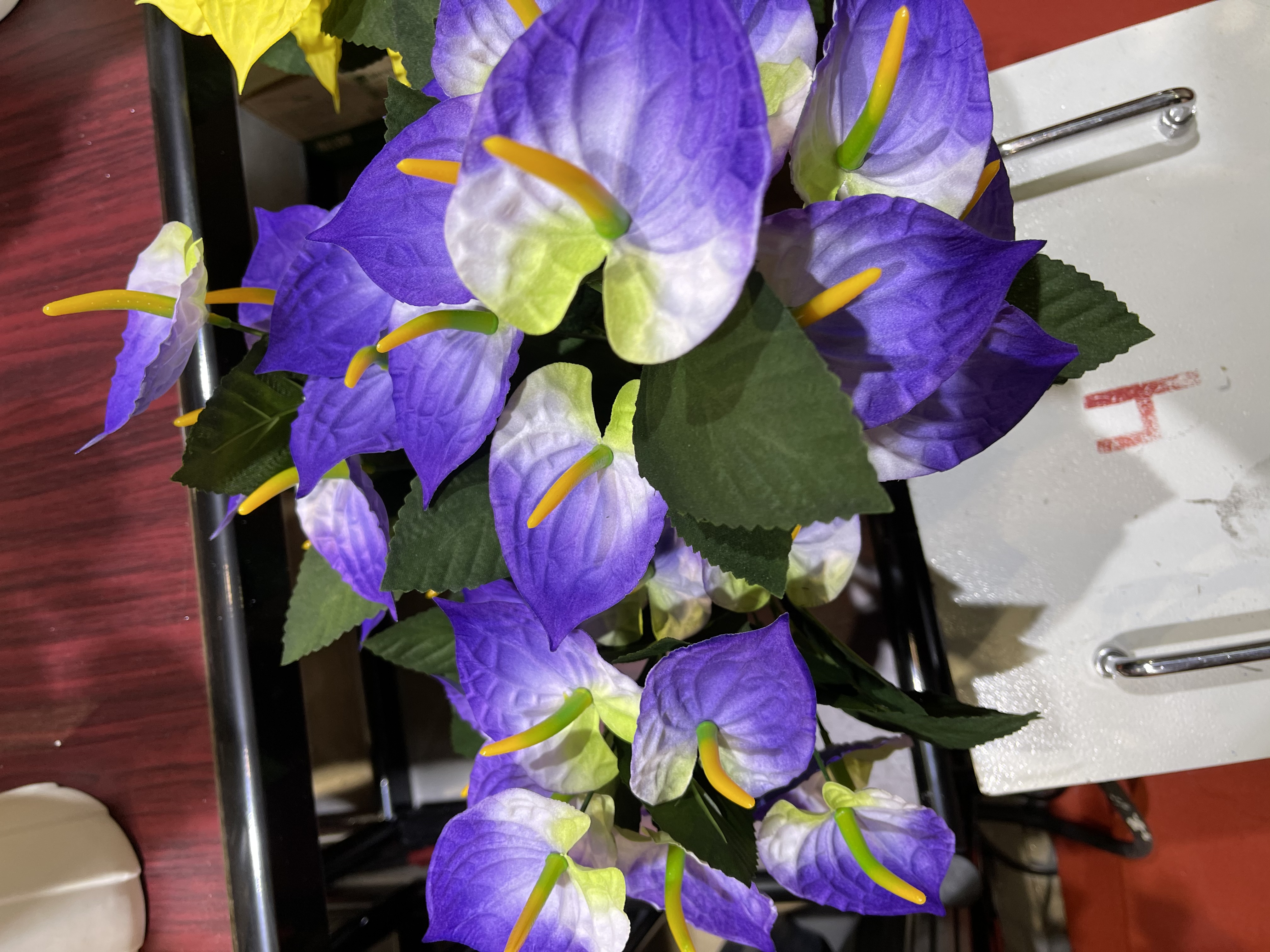 Ten calla lilies Application Scenario