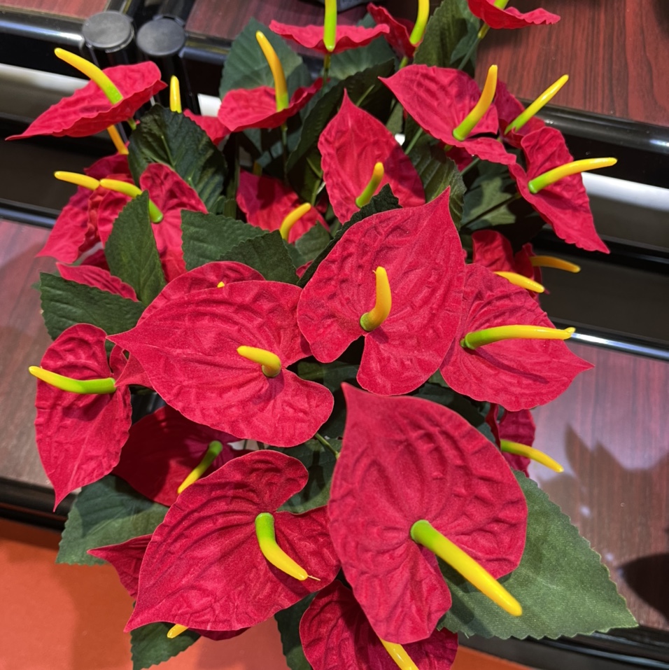 Ten calla lilies