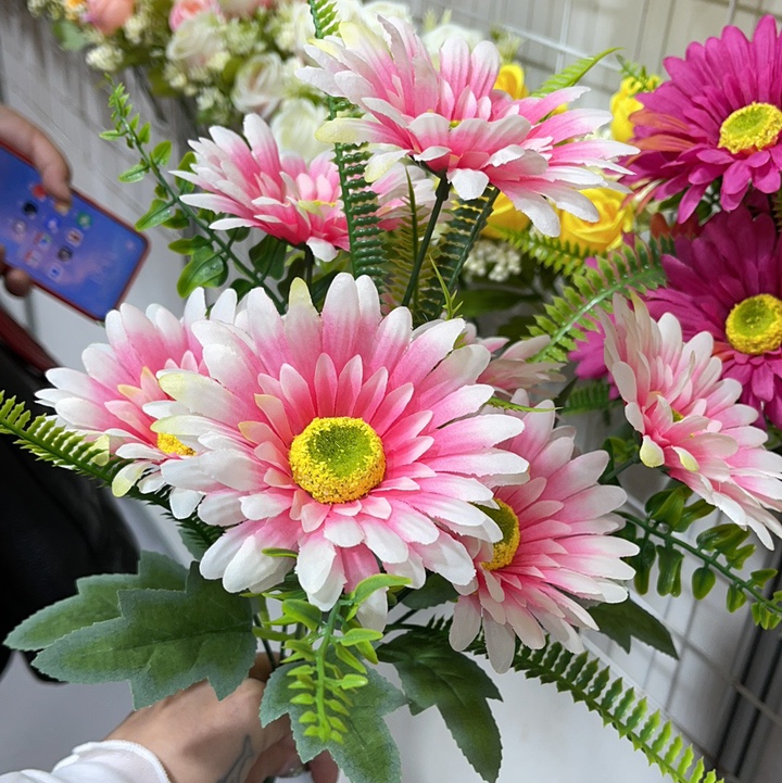 Seven chrysanthemums