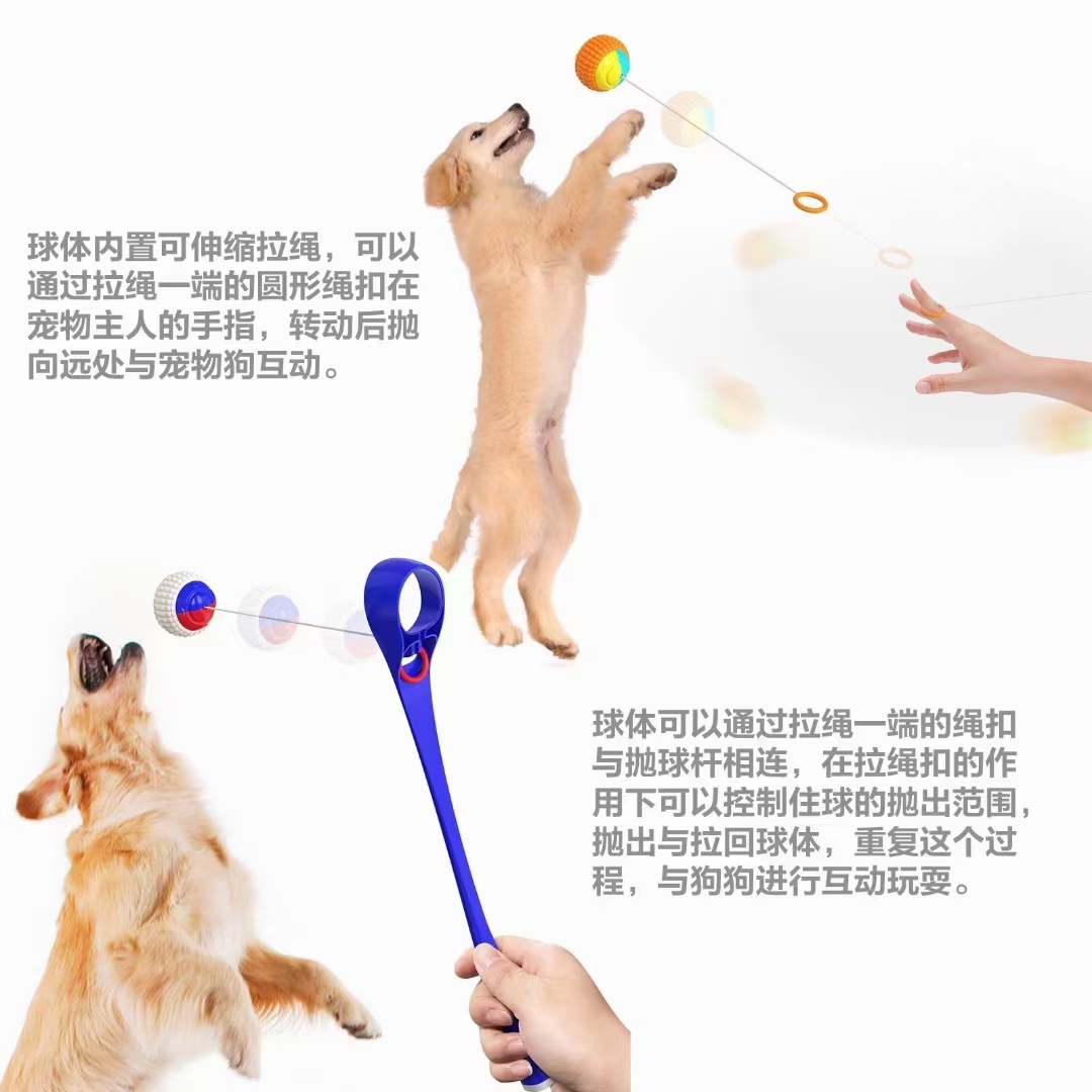 一般是我们每月新品发售的时间，本月计划发售4-5款产品，今天集中公布4款，分别是：快乐猫转盘、魔轮自嗨猫玩详情4