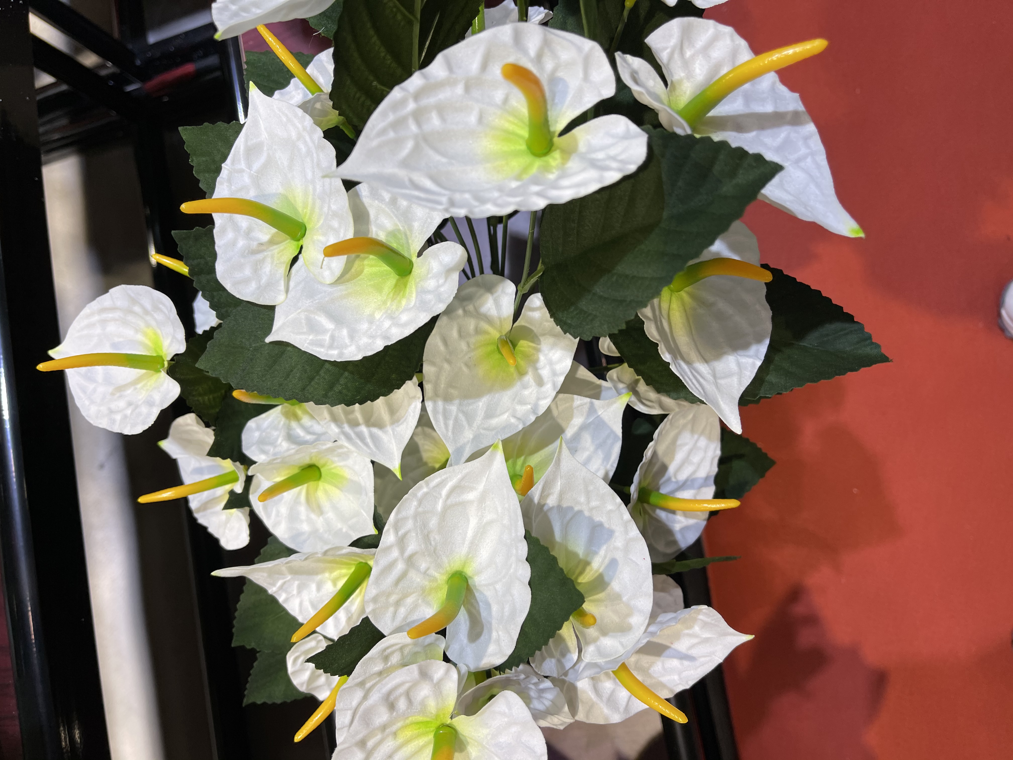 Ten calla lilies details Picture